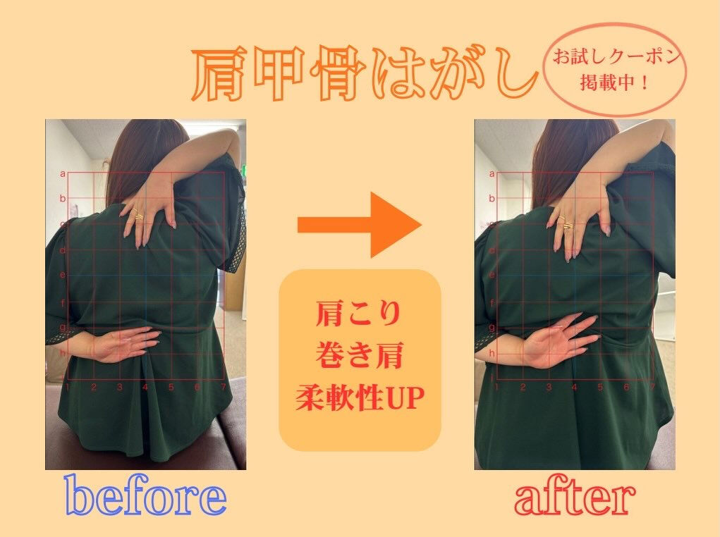 皆さんこんにちは！